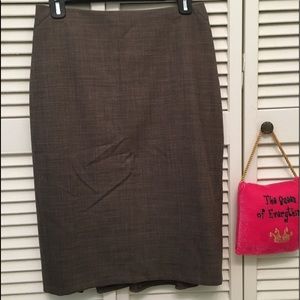 Ann Taylor Skirt